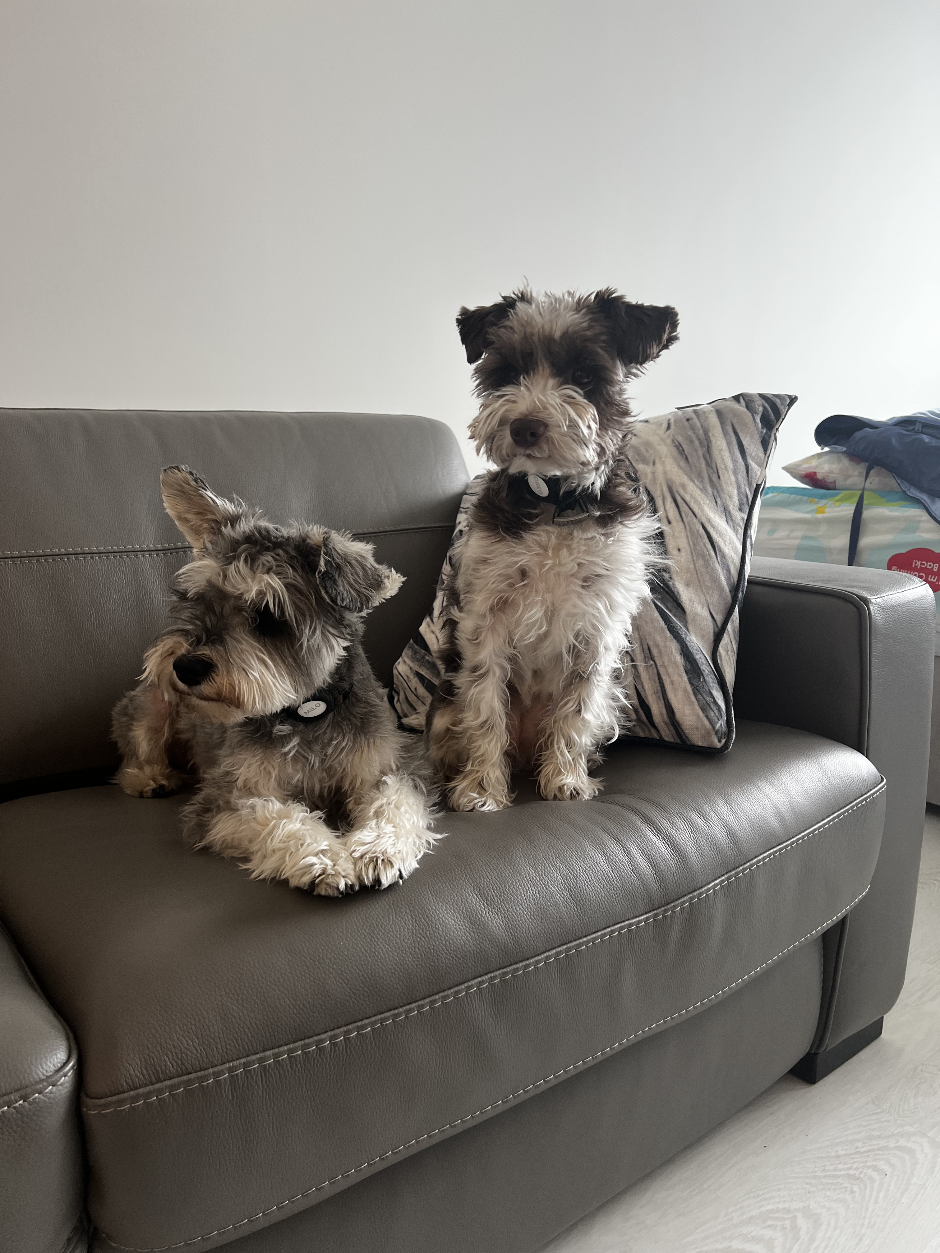 Portfolio media item 3